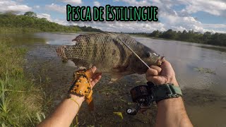 Slingshot Fishing / Always Guaranteed Fried Fish @ricardobspescacomestilingu5887 Top Arrows