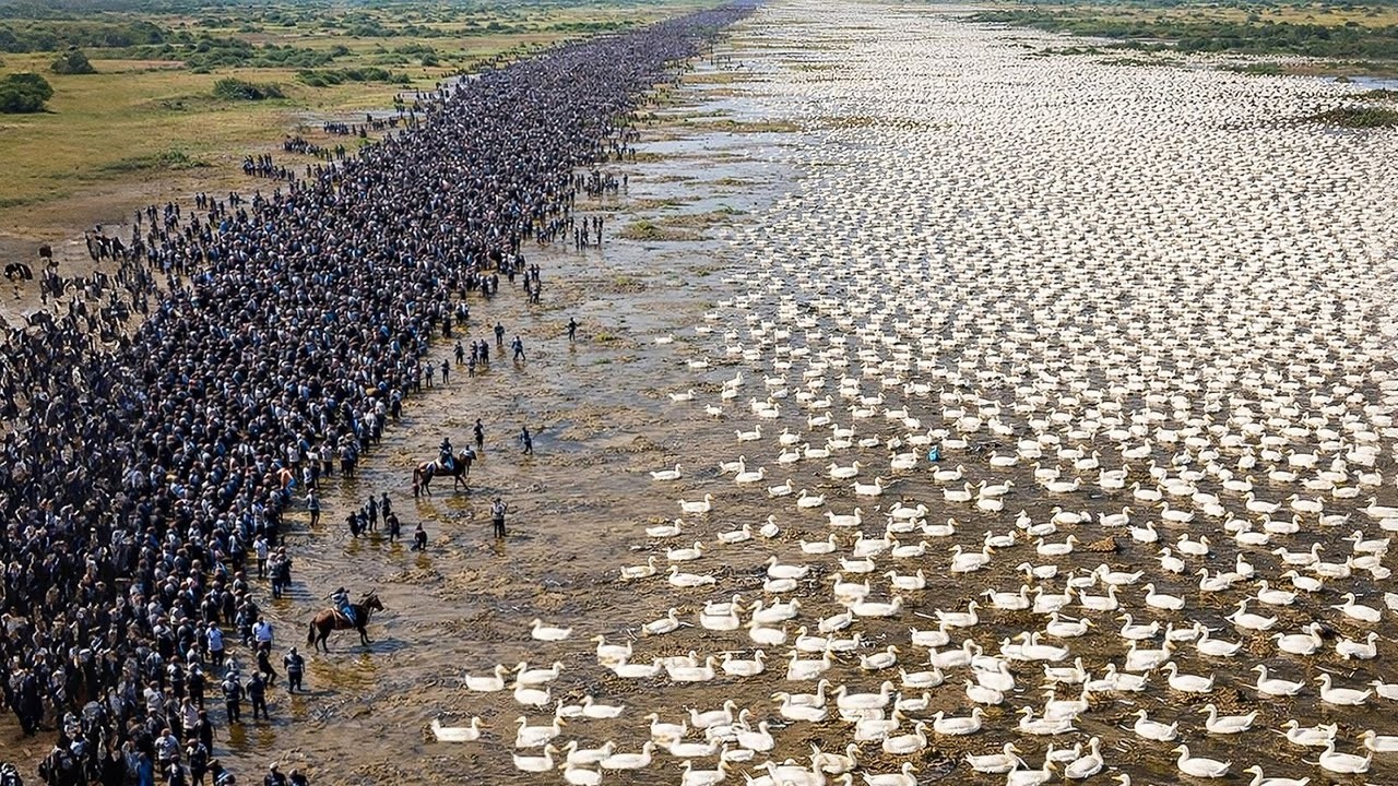 ����� ����� ���� ���� �� ���� �����... ������� ���� ������
 - نشر قبل 11 دقيقة