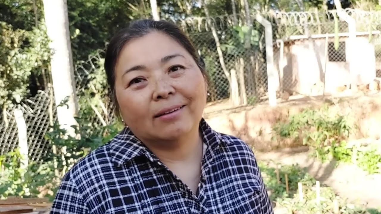 MINHA HISTÓRIA DE COMO FUI MORAR NO JAPÃO ( Parte 1)