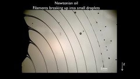 Rotary fragmentation of viscoelastic liquids