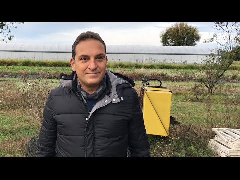 Video: Componenti Di Un Sistema Di Agricoltura Paesaggistica Adattiva