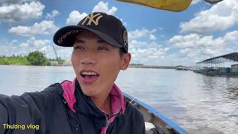 Thương vlog/câu cá khu bè kiếm cá ăn mùa dịch