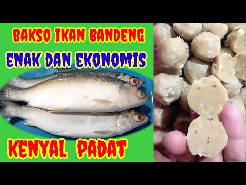 Resep Bakso Ikan Bandeng Yang Enak
