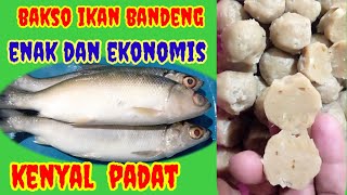 RESEP LENGKAP BIKIN BAKSO IKAN BANDENG ‼️enak dan ekonomis, penjual bakso
