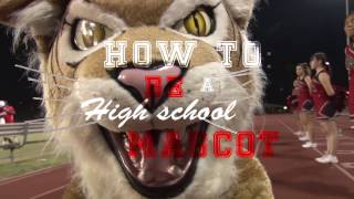 How to Be a High School Mascot