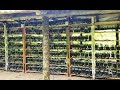 Abkhazia Shuts Down 8 Crypto Farms Amid Ongoing Crackdown on Mining