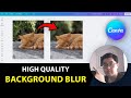How To Blur Photo Background in Canva(100% Free Account) - Detail guide