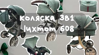 :  - 31 Luxmom 608     