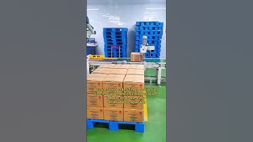 Automated palletizing production line equipped with collaborative robots that are easy to operate.
