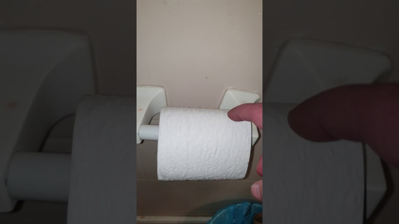 The correct way to use toilet paper YouTube