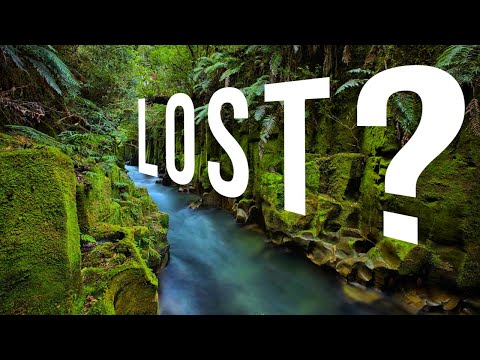 Video: Which Side Does The Moss Grow On