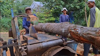 Teak and mahogany wood sawing process  assembled serkel machine