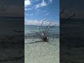 Waves crashing into a beach in Aruba