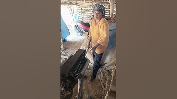 pengrajin genteng #trending #woodworking #rooftile #ytshorts #woodwork #amerikaserikat #wood
