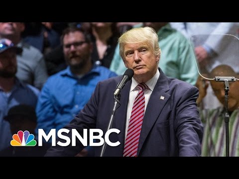 Unverified Donald Trump Russia Tale Roils Politics | Rachel Maddow | MSNBC