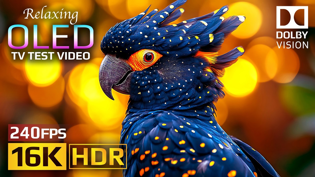 ⁣Cinematic Nature OLED HDR Test 16K | Dolby Vision 120fps (8K/4K Video TV)
