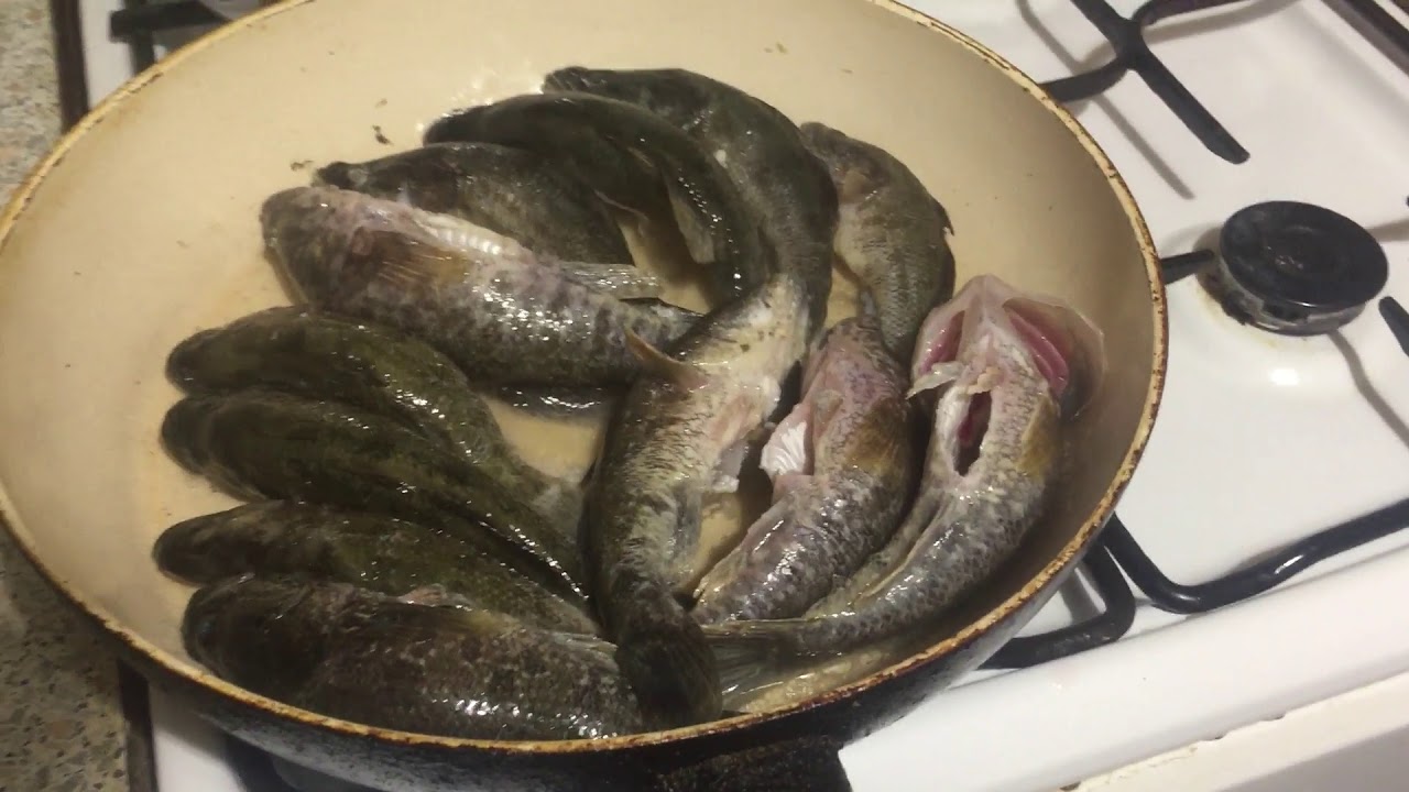 Амурский ротан: секреты удачной рыбалки и приготовления вкусных блюд