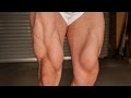 Complete Leg Workout (NO EQUIPMENT)