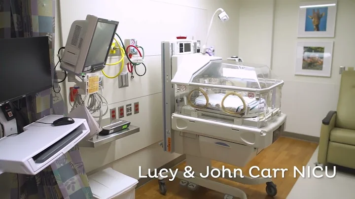 Level III NICU at CHRISTUS Trinity Mother Frances ...