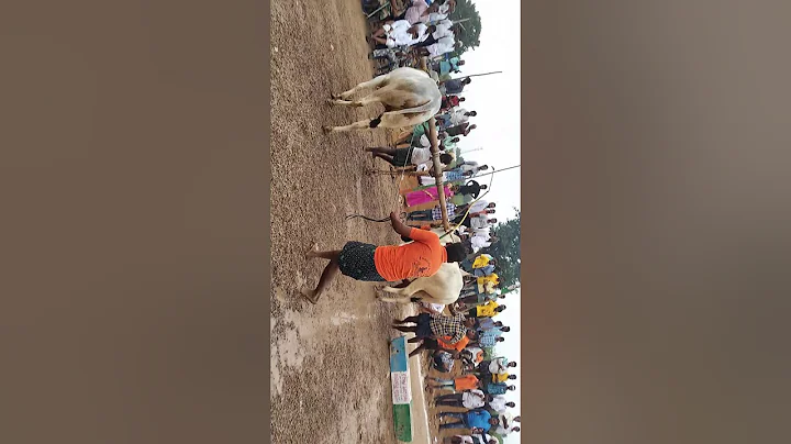 Venkatagiri hemalatha Naidu yerrabalem Pala Pala g...