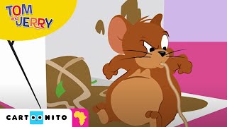 Tom and Jerry: Food Thief!  | Cartoonito Africa