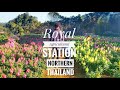 Royal Agricultural Station | Angkhang | Fang | Northern Thailand