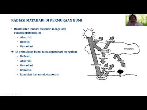 Video: Mengapa intensitas cahaya merupakan faktor pembatas dalam fotosintesis?