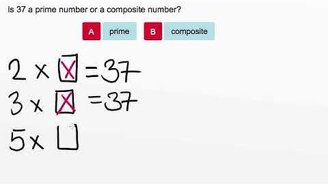 AdaptedMind Math - Prime and Composite Numbers, Question #4