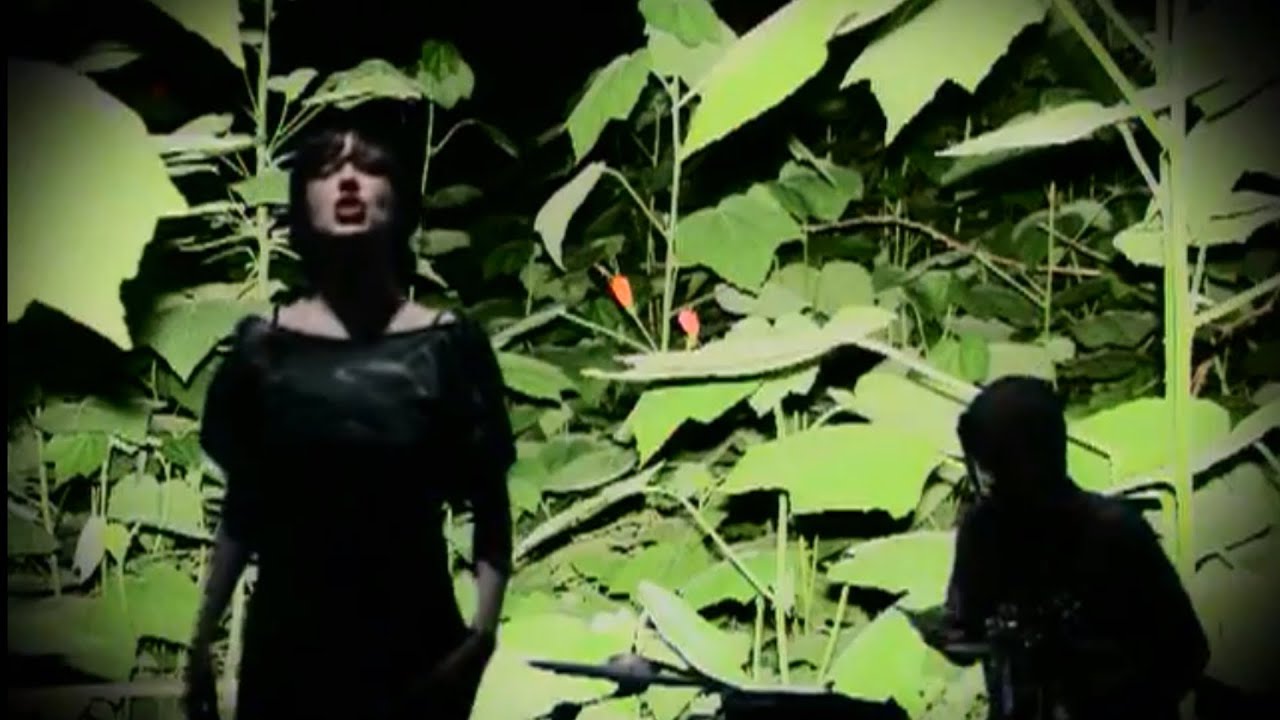 在 YouTube 上观看 Celebration - War (Official Video) 在 YouTube 上观看 Celebration - War (Official Video)