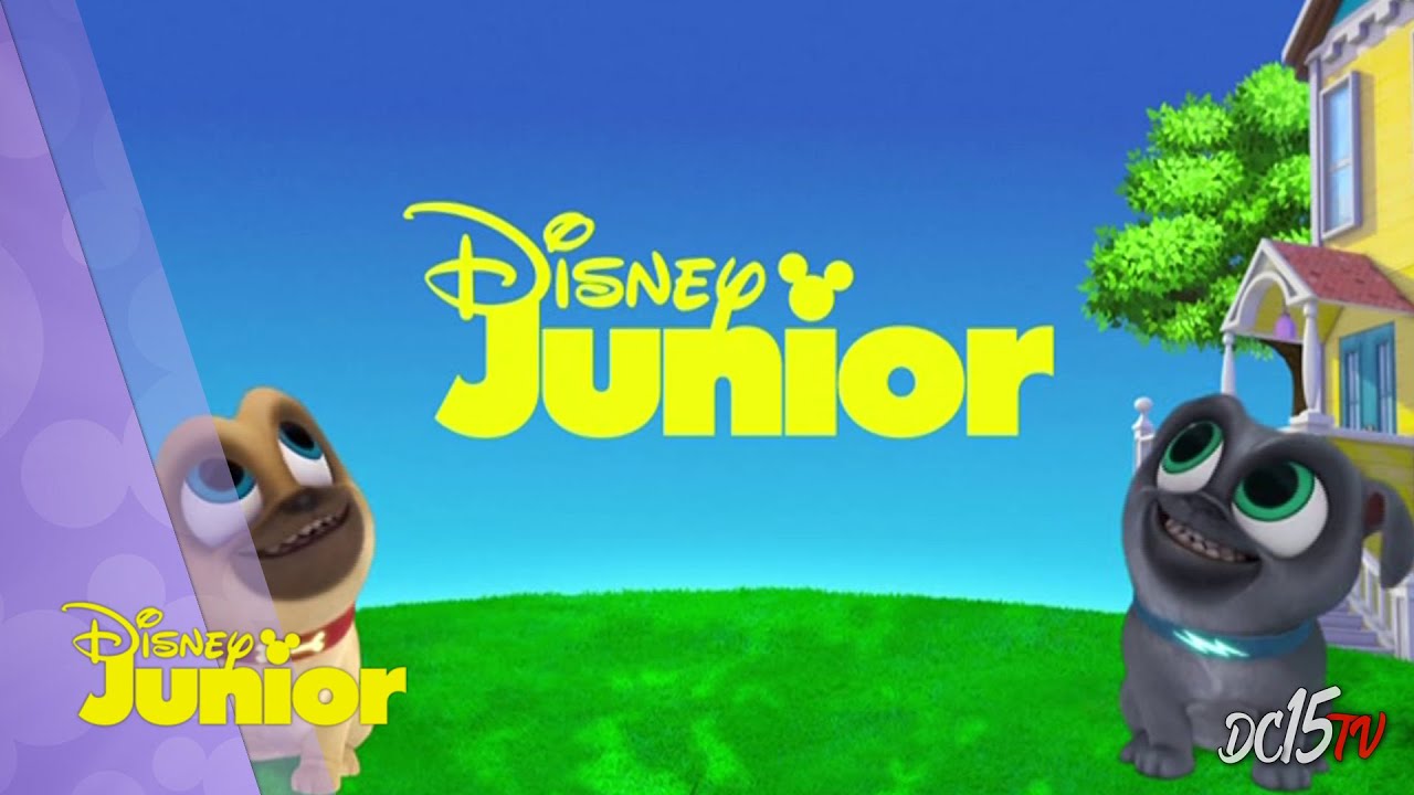 Bingo y Rolly (Cortinilla) | Disney Junior España - YouTube
