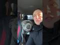 Dogs Tries to Say #funnydog #funny #adorably #viral #pets #entertaininganimals #funnydogs