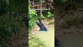 Ya allah suamiku kenapa 😭 #comedy #shortvideo #shorts #short #fyp #ngakak #4u #degharency