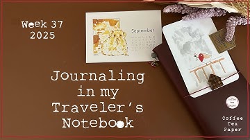 Traveler