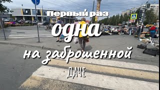 картинка: 3. ЧТО ЭТО ЗА ДЕРЕВЬЯ? И что делать с крыжовником? ПОМОГИТЕ😱