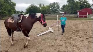 Criticizing Free Spirit Equestrian - Here We Go Again!
