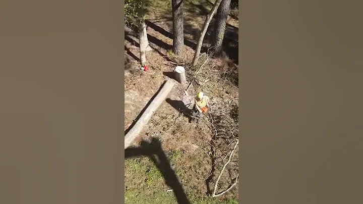 HURRICANE FLORENCE 2018