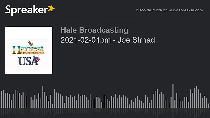 2021-02-01pm - Joe Strnad
