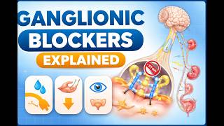 Ganglionic Blockers Made Easy Autonomic Pharmacology