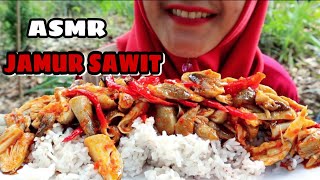 ASMR MUKBANG TUMIS PEDAS JAMUR SAWIT || ASMR MUKBANG INDONESIA