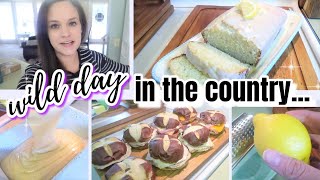 EASY HOMEMADE LEMON LOAF & A CRAZY COW!  | SOUTHERN FAMILY DAY IN THE LIFE