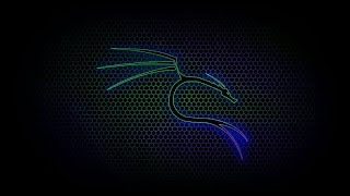 Chapter 11 - Listing filse content (Learn Kali)