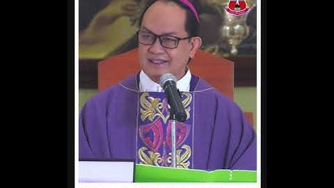 Second Sunday of  Advent Homily