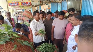 Today's Vegetables rates at MRT traders, Malur Karnataka 31/05/24 🫘🫘🥬🥬🌶️🌶️🍆🍆🫑🫑