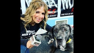 WDHA's Rock N' Ruff with Diesel