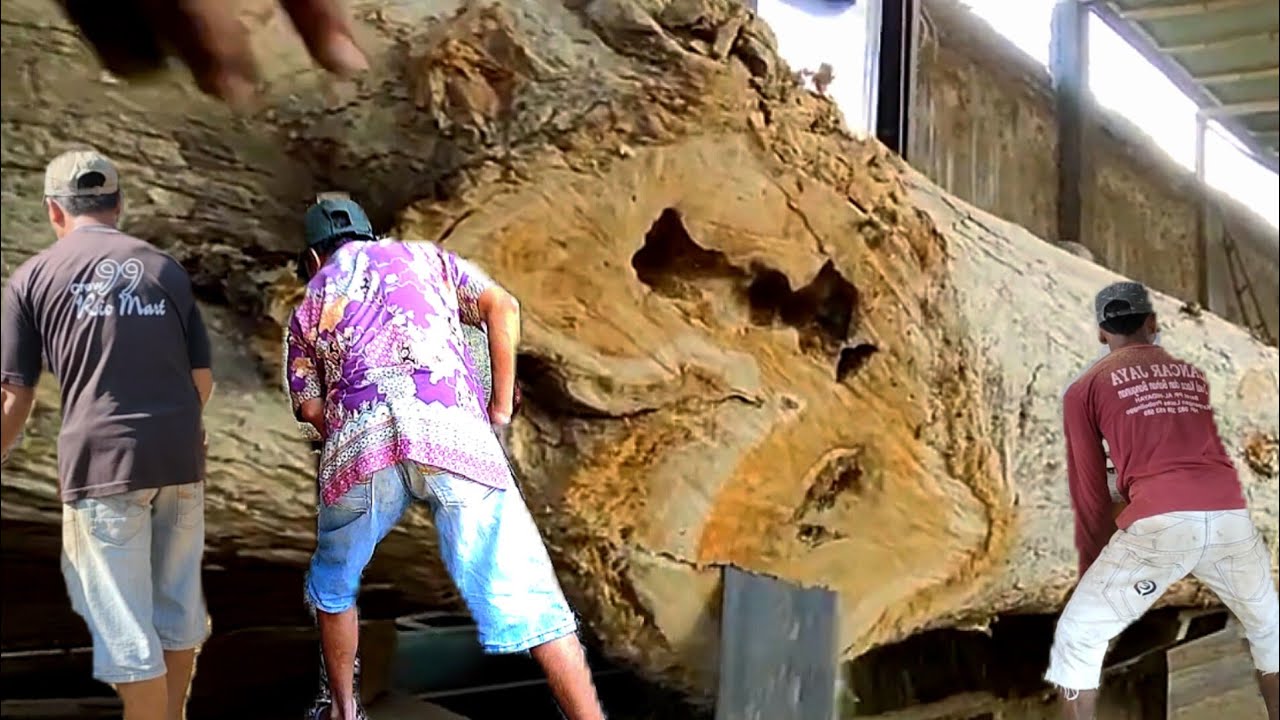 Sawing and Cutting Dangerous Premium Quality Teak Wood || #Sawmill ...