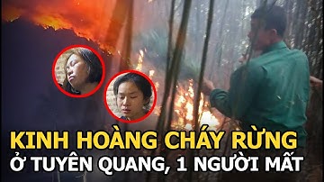 Kinh hoàng cháy rừng ở Tuyên Quang, 1 người mất