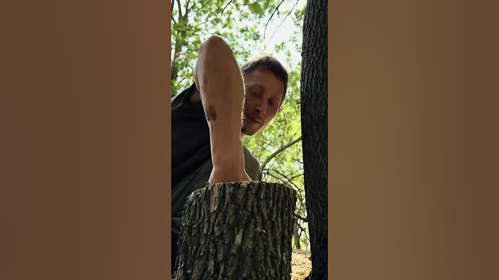 Secret dugout for survival in large tree #survival #camping #building #bushcraft #outdoors