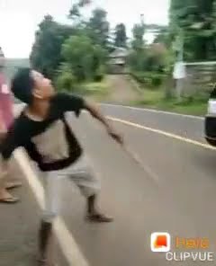 Story WA lucu Pencuri Mangga Di Pinggir Jalan