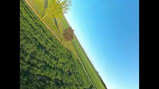 RC Factory Proxy - Low level proximity flying around the trees