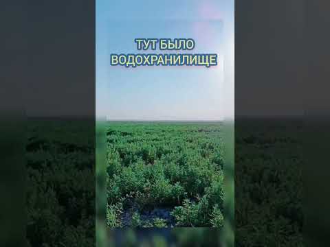 #КАХОВСКОЕ #ВОДОХРАНИЛИЩЕ в
